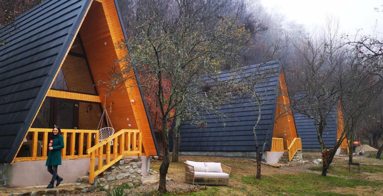 Casa - Cabana Tip A Frame, Cerna, Vaideeni, Valcea Cerna  Buitenkant foto